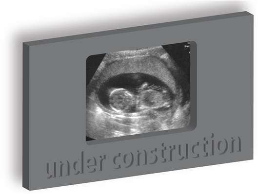 My first picture 'under construction'
